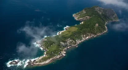 Snake Island Brazil has five times more venom than mainland